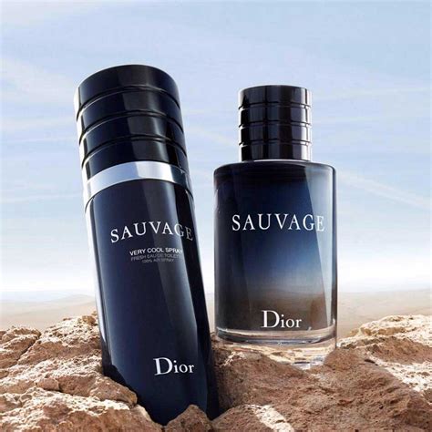 dior sauvage very cool spray vs edt|sauvage Dior men reviews.